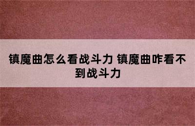 镇魔曲怎么看战斗力 镇魔曲咋看不到战斗力